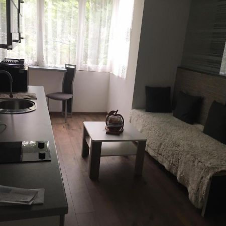 Apartment In The Center Of The Old City, Budzak 14 塞拉耶佛 外观 照片