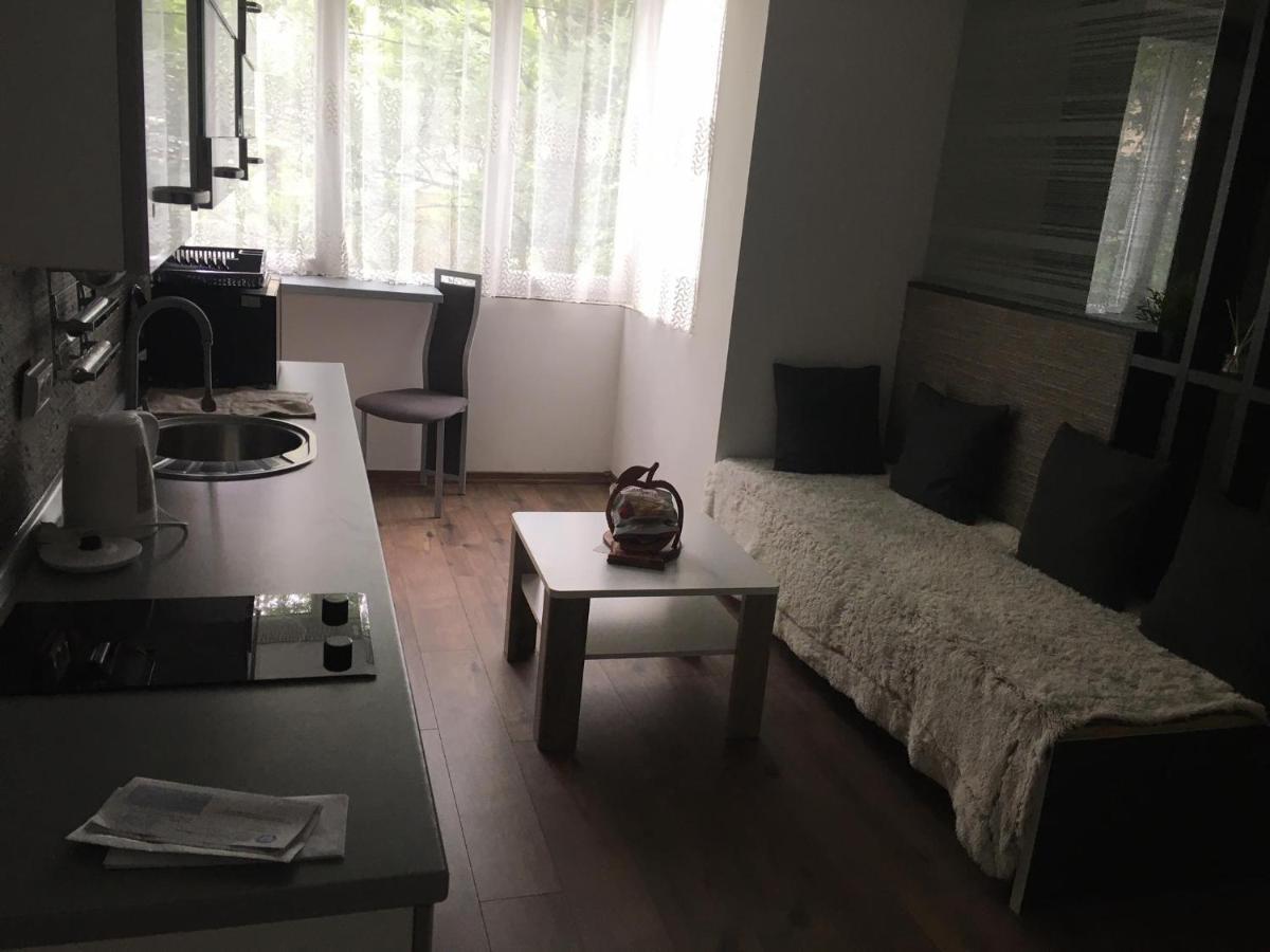 Apartment In The Center Of The Old City, Budzak 14 塞拉耶佛 外观 照片