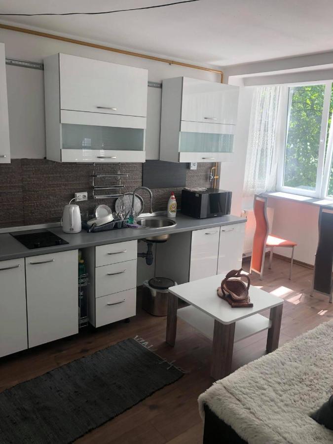Apartment In The Center Of The Old City, Budzak 14 塞拉耶佛 外观 照片